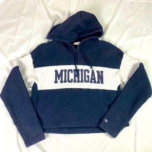 Vintage Michigan Reverse Weave Crop Hoodie A4